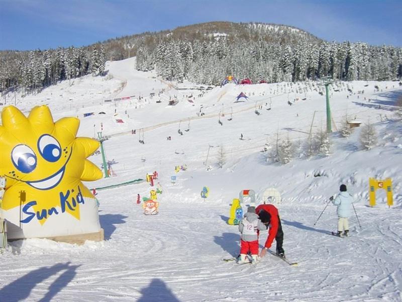 Apartment Wild - Im Skigebiet Gerlitzen & Ossiacher See ボーデンスドルフ エクステリア 写真